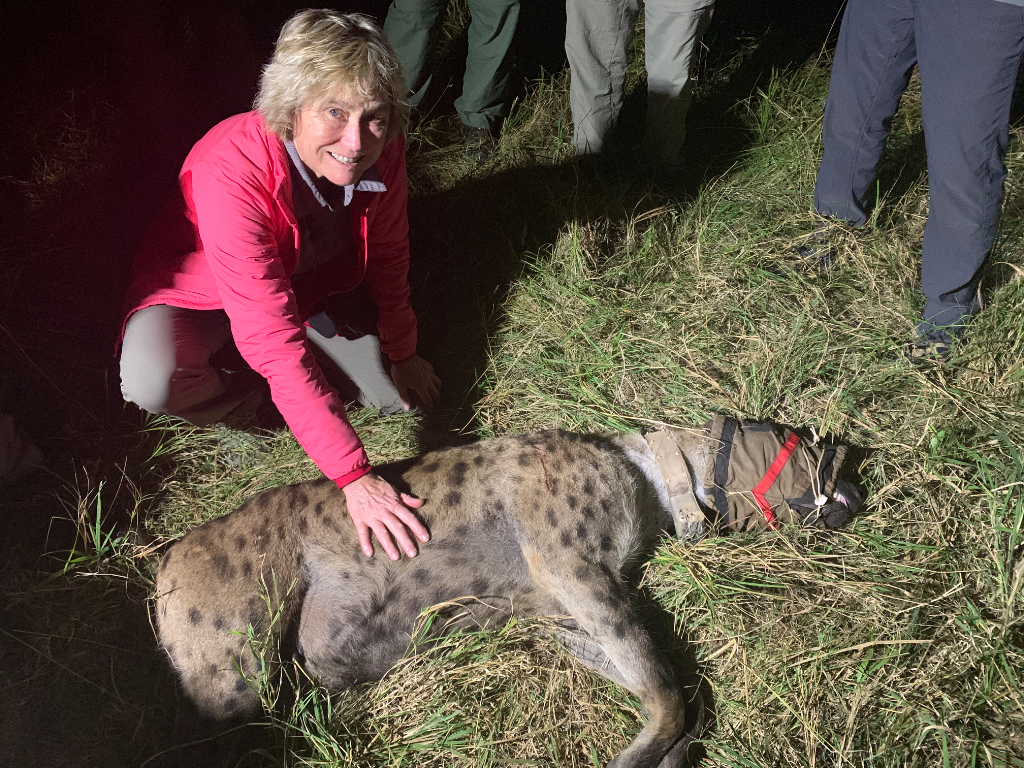 Me with sedated Hyena